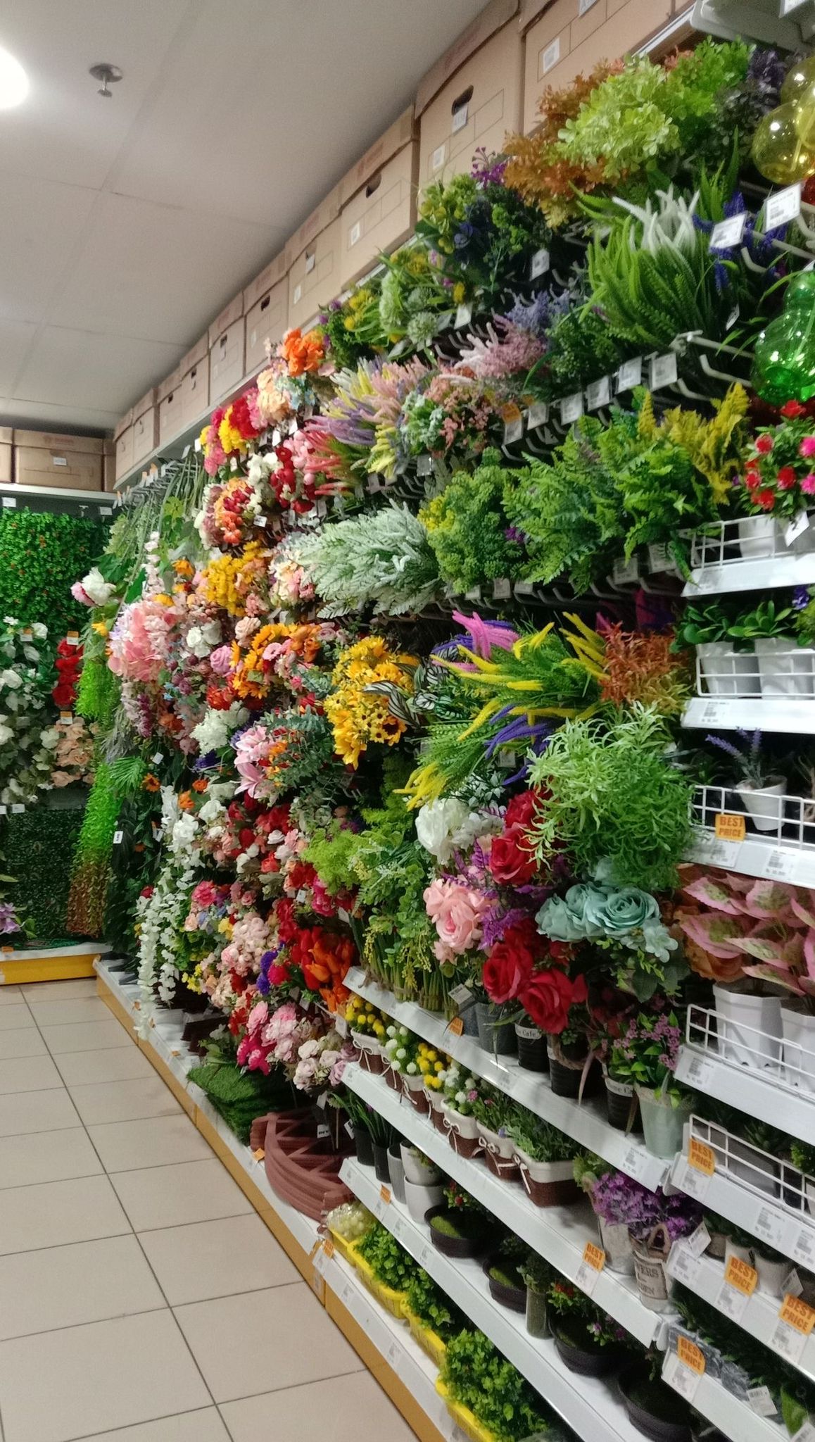 YAPRAK TARIM VE TOPTANCILIK 